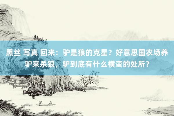 黑丝 写真 回来：驴是狼的克星？好意思国农场养驴来杀狼，驴到底有什么横蛮的处所？