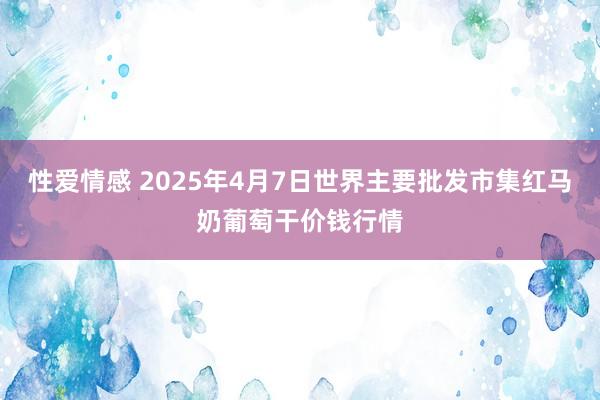 性爱情感 2025年4月7日世界主要批发市集红马奶葡萄干价钱行情