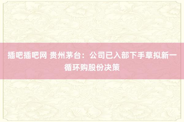 插吧插吧网 贵州茅台：公司已入部下手草拟新一循环购股份决策