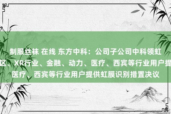 制服丝袜 在线 东方中科：公司子公司中科领虹为公司照旧为智谋社区、XR行业、金融、动力、医疗、西宾等行业用户提供虹膜识别措置决议