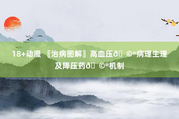18+动漫 〖治病图解〗高血压🩺病理生理及降压药🩺机制