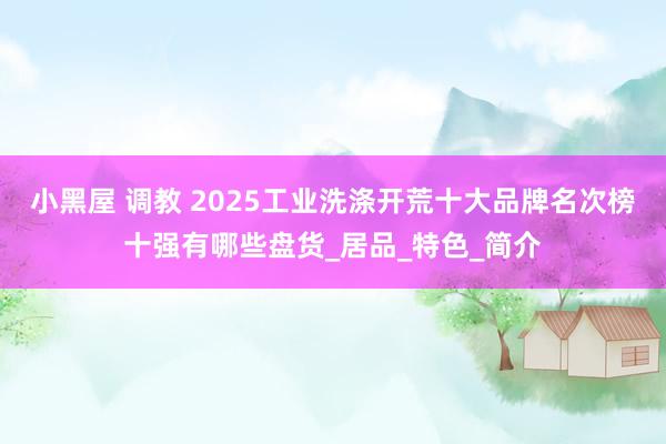 小黑屋 调教 2025工业洗涤开荒十大品牌名次榜十强有哪些盘货_居品_特色_简介
