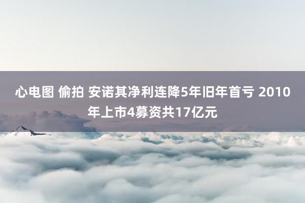 心电图 偷拍 安诺其净利连降5年旧年首亏 2010年上市4募资共17亿元