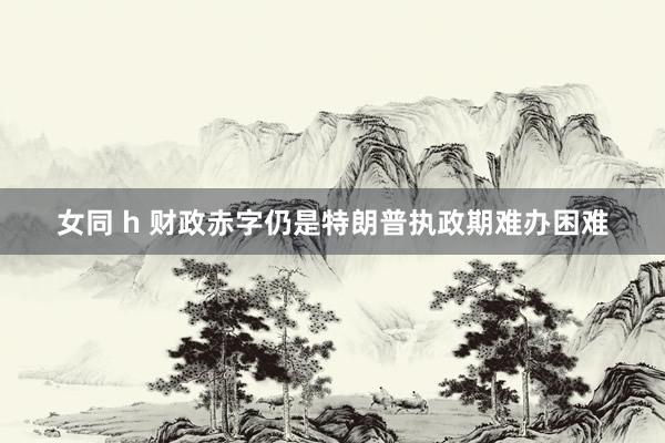 女同 h 财政赤字仍是特朗普执政期难办困难