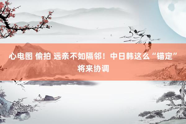 心电图 偷拍 远亲不如隔邻！中日韩这么“锚定”将来协调