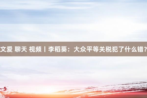 文爱 聊天 视频丨李稻葵：大众平等关税犯了什么错？