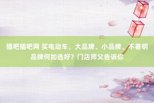 插吧插吧网 买电动车，大品牌、小品牌、不著明品牌何如选好？门店师父告诉你