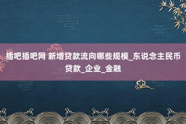 插吧插吧网 新增贷款流向哪些规模_东说念主民币贷款_企业_金融