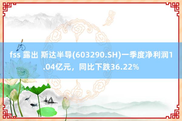fss 露出 斯达半导(603290.SH)一季度净利润1.04亿元，同比下跌36.22%